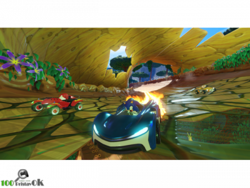 Team Sonic Racing[PLAY STATION 4]